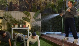 surviving jack garden
